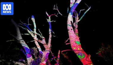 Wotjobaluk Nations Festival marks landmark native title recognition