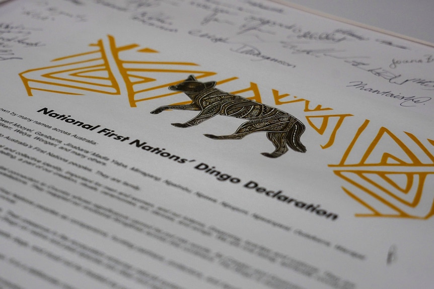 A piece of paper with signatures and a picture of a dingo on it. 