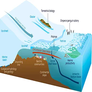 Schematic of key components of the Antarctic environment that are discussed in this review. Credit: Nature