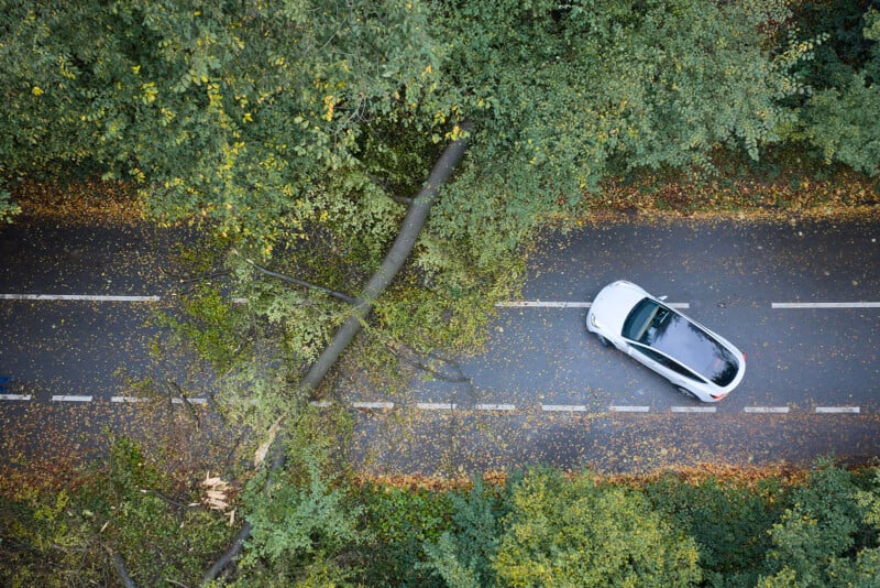 Aerial view of a white car on a road partially blocked by a fallen tree, surrounded by dense green foliage and scattered leaves.