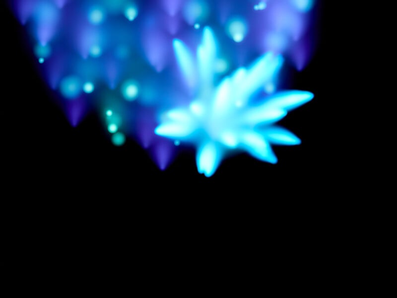 Abstract image with a cluster of blue and purple blurry light shapes resembling glowing starbursts or flowers, set against a solid black background. The lights create a dreamy, out-of-focus effect.