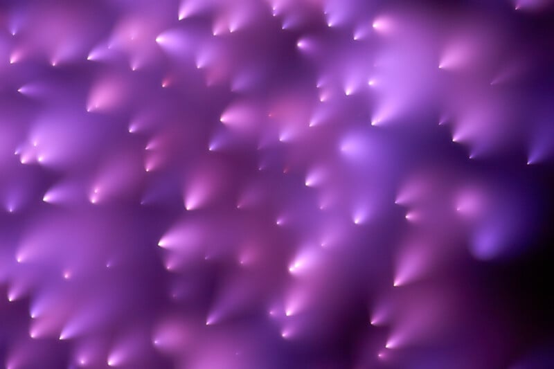 Abstract image featuring clusters of soft, glowing purple and pink cone-like shapes on a dark background, creating a dreamy and surreal atmosphere. The shapes are blurred and appear to be floating or moving gently.