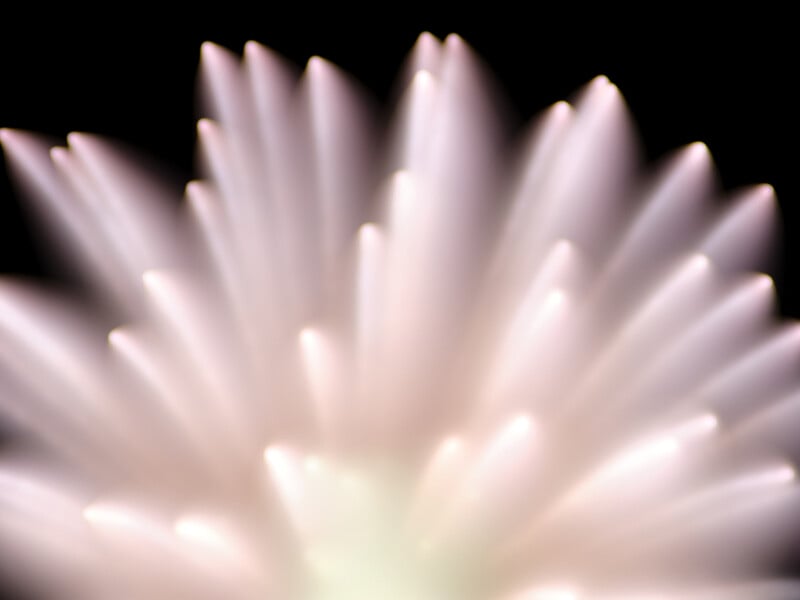 Blurred close-up image of a flower with soft, pale petals radiating outward against a black background, creating an abstract, glowing effect.