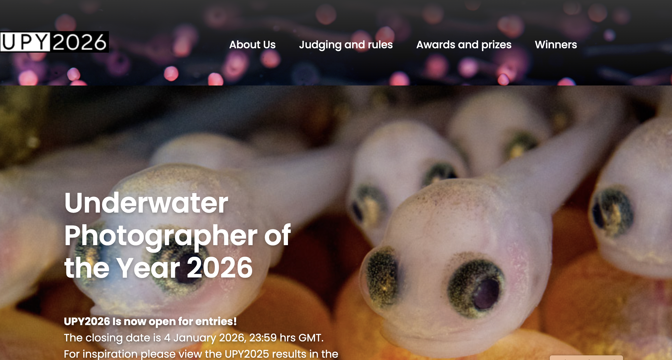 The website for the Underwater Photographer of the Year 2026 contest, displaying a close-up image of multiple small, translucent marine creatures and text confirming that UPY2026 is open for entries with a closing date of 4 January 2026.