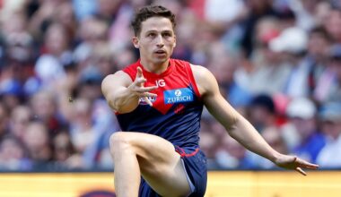 Dogs sign former Demon and Saint as development coach