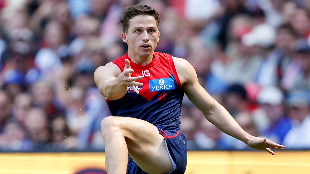 Dogs sign former Demon and Saint as development coach