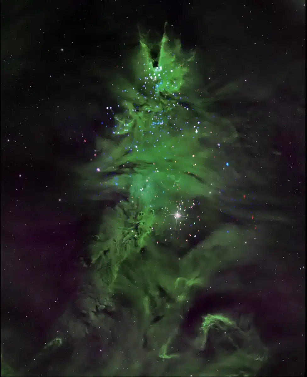 “christmas Tree Cluster” Ngc 2264