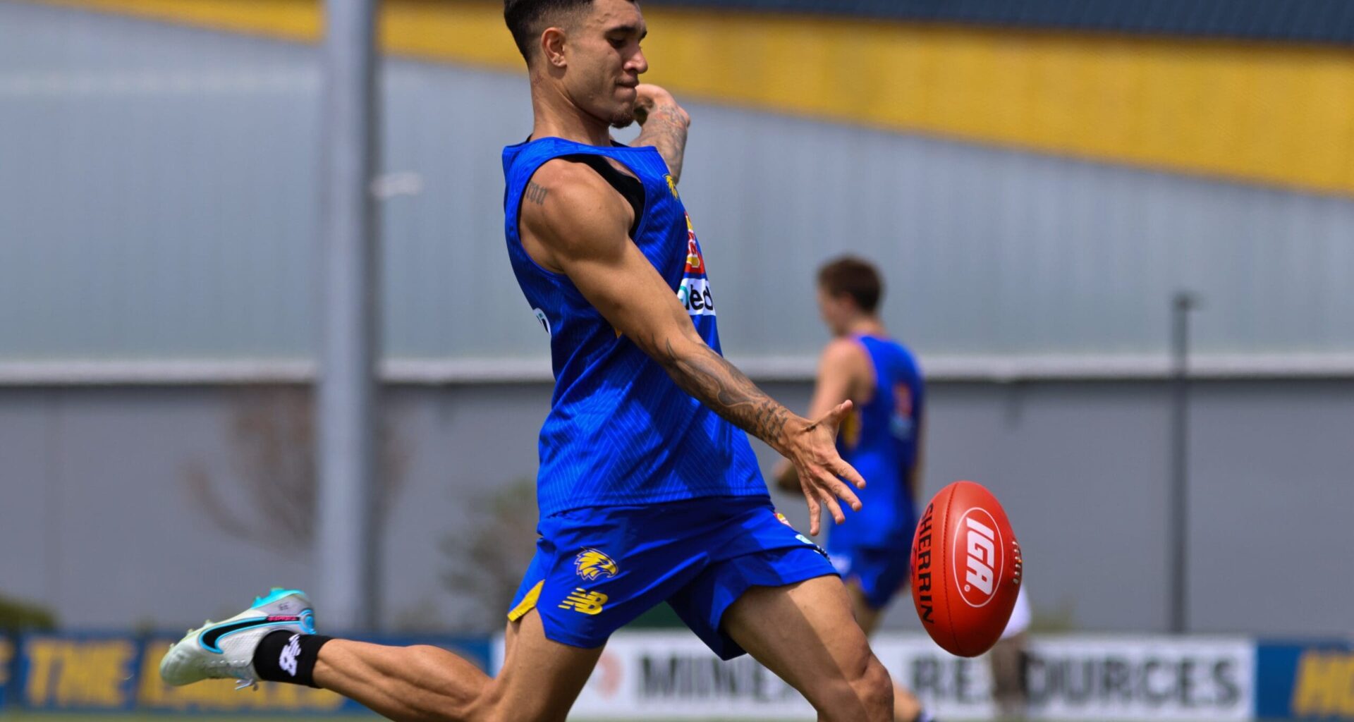 West Coast investigating alleged street fight involving forward - AFL News