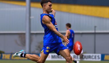 West Coast investigating alleged street fight involving forward - AFL News