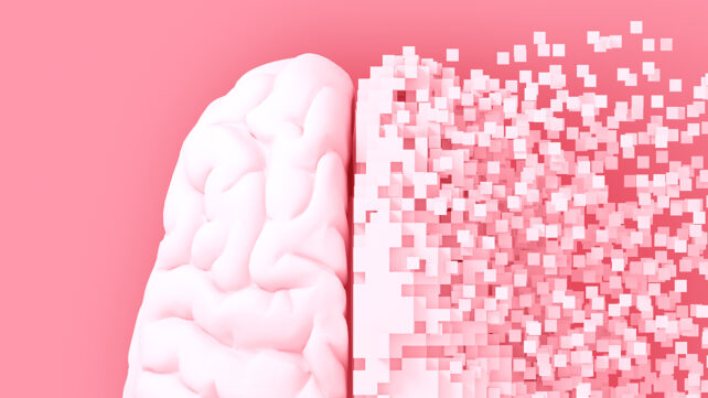 Desintegration of digital brain