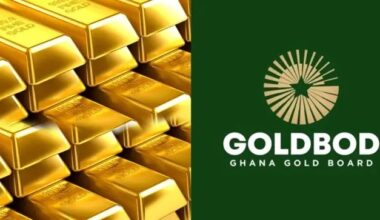 GoldBod Not Aware of Any $214M BoG Loss Under Gold for Reserves Programme  – CEO Clarifies