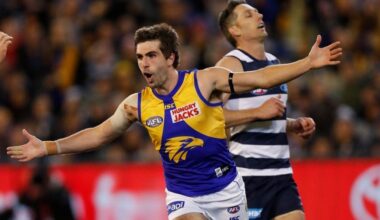 Retired Eagles great joins WA club in off-field role - AFL News