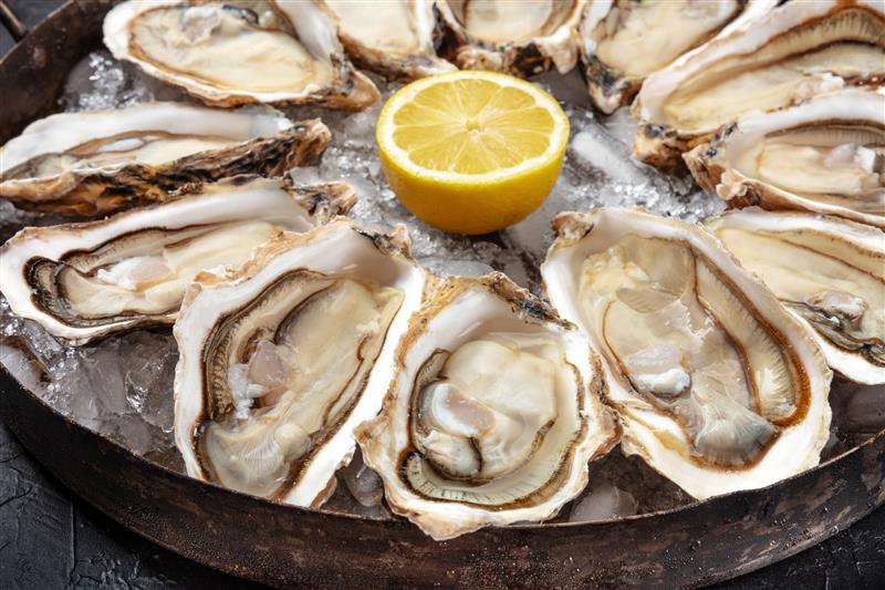 Raw oysters on a platter