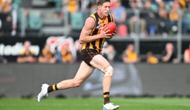 Three-club defender calls time on AFL career - AFL News