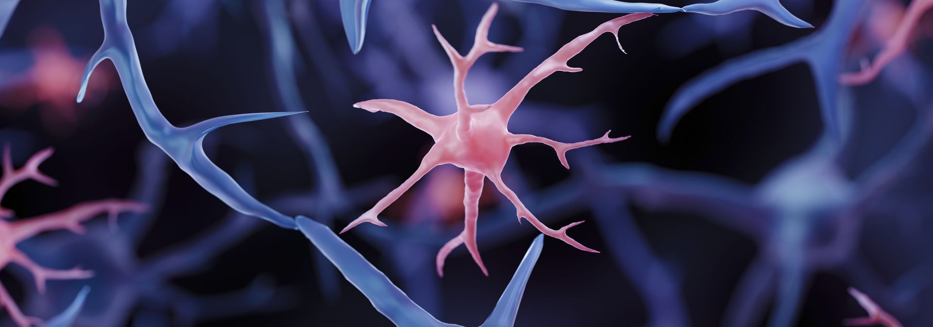 Brain Immune Cells May Drive More Damage in Females than Males with Alzheimer’s