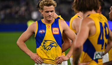 Next West Coast boss unlikely to be a premiership coach, says ex-Eagle