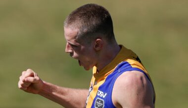 BRISBANE, AUSTRALIA - SEPTEMBER 07: Brodie McLaughlin of Williamstown celebrates a goal during the 2024 VFL Second Semi Final match between the Brisbane Lions and Williamstown at Brighton Homes Arena on September 07, 2024 in Brisbane, Australia. (Photo by Russell Freeman/AFL Photos via Getty Images)