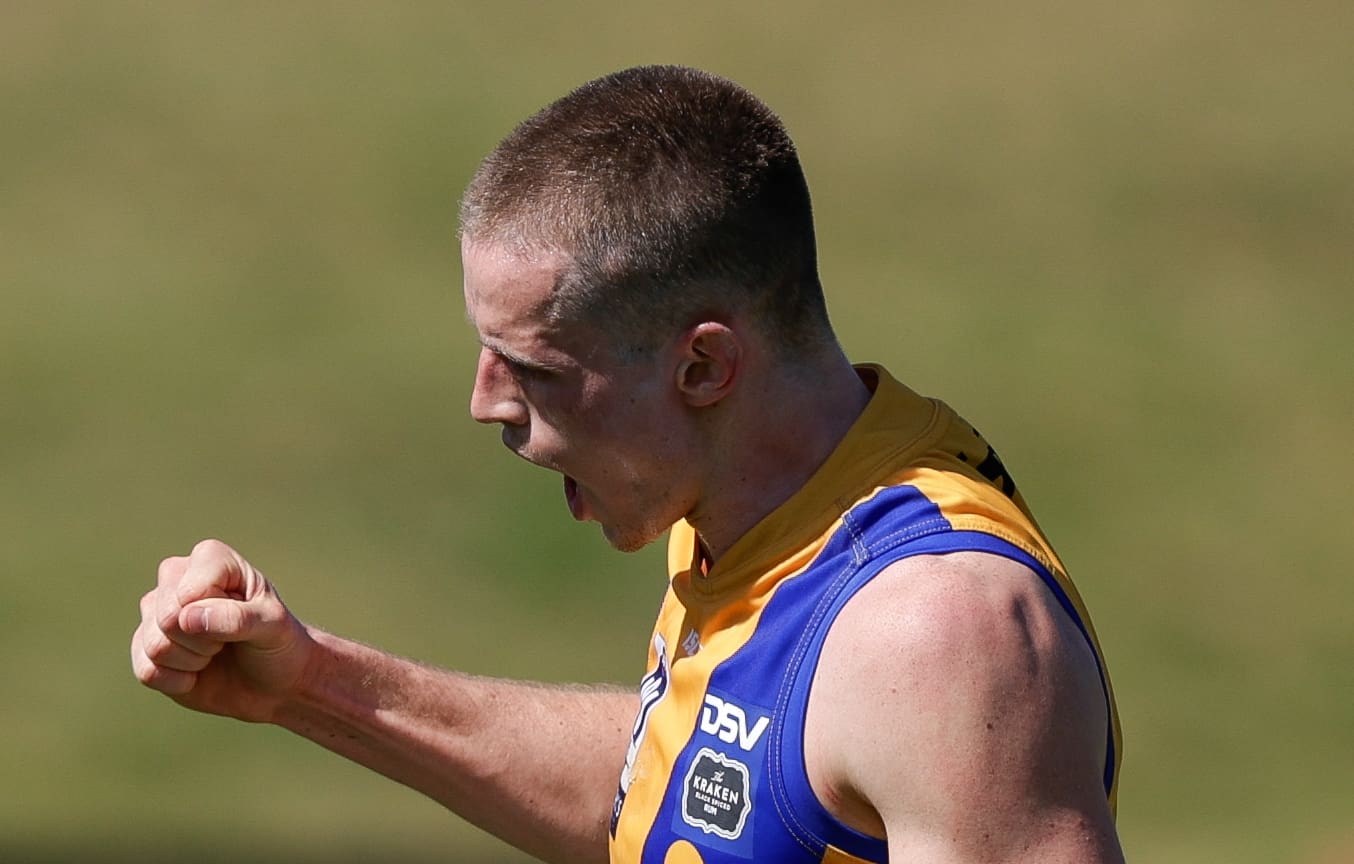 BRISBANE, AUSTRALIA - SEPTEMBER 07: Brodie McLaughlin of Williamstown celebrates a goal during the 2024 VFL Second Semi Final match between the Brisbane Lions and Williamstown at Brighton Homes Arena on September 07, 2024 in Brisbane, Australia. (Photo by Russell Freeman/AFL Photos via Getty Images)