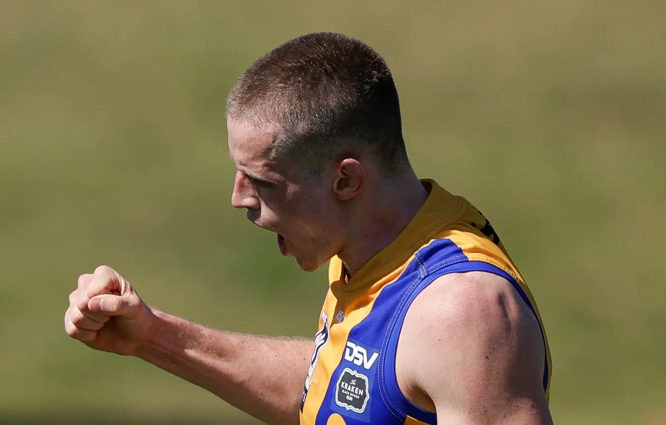 BRISBANE, AUSTRALIA - SEPTEMBER 07: Brodie McLaughlin of Williamstown celebrates a goal during the 2024 VFL Second Semi Final match between the Brisbane Lions and Williamstown at Brighton Homes Arena on September 07, 2024 in Brisbane, Australia. (Photo by Russell Freeman/AFL Photos via Getty Images)