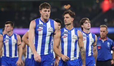 Kangaroos decide on Simpkin successor - AFL News