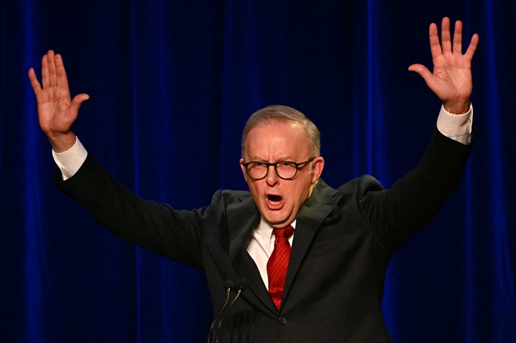 What went wrong, Albanese? | The Spectator Australia