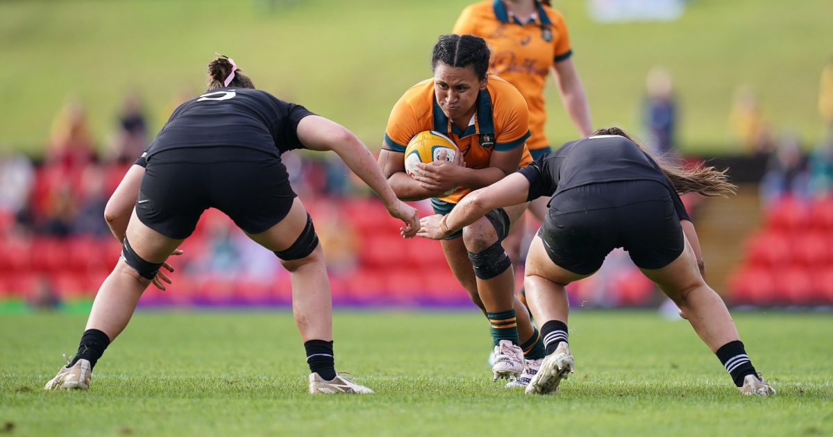 Rugby World Cup Wallaroo joins Western Force after breakout season