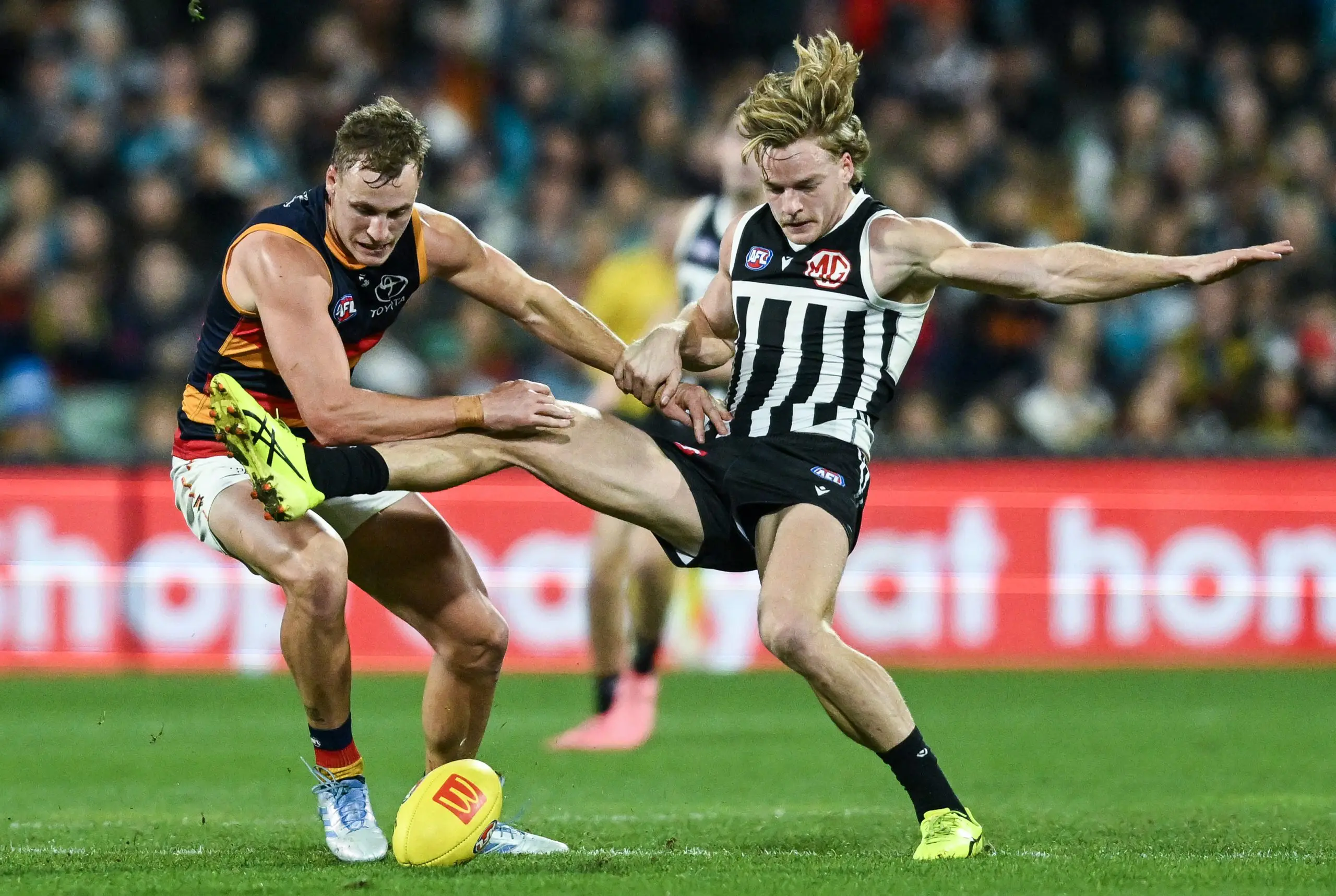 ADELAIDE, AUSTRALIA - MAY 10: Jordan Dawson of the Crows competes with Miles Bergman of the Power during the round nine AFL match between Port Adelaide Power and Adelaide Crows at Adelaide Oval, on May 10, 2025, in Adelaide, Australia. (Photo by Mark Brake/Getty Images)