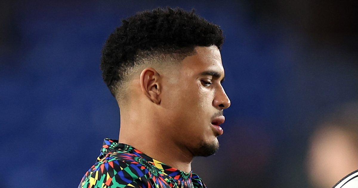 High-flying Stormers suffer Sacha Feinberg-Mngomezulu injury blow