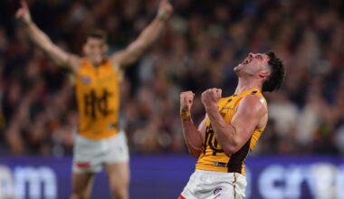 MSD vs SSP: Which new AFL recruitment avenue has been a greater benefit to clubs? - AFL News