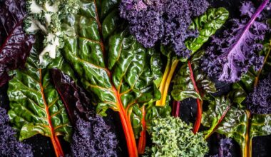 5 Foods to Add to Your Diet in 2026