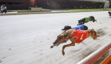 Boxing Day test for Evans’ distance dreams :: Racing Queensland