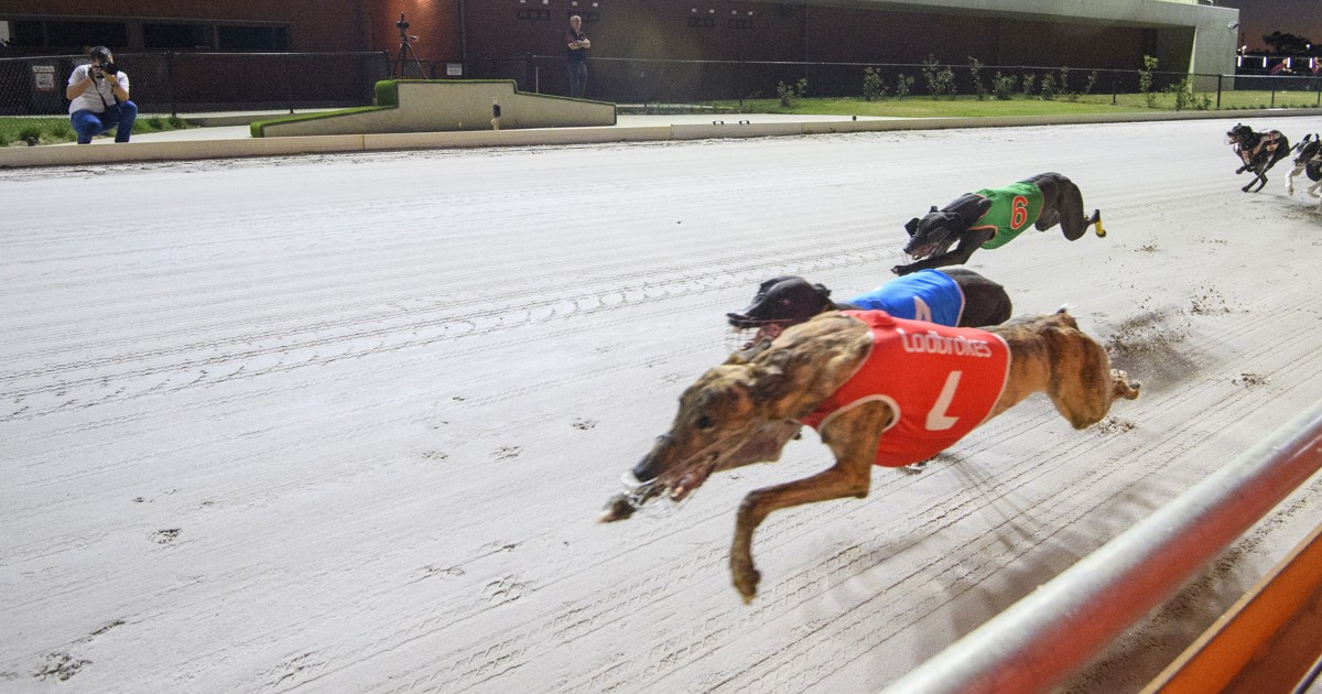 Boxing Day test for Evans’ distance dreams :: Racing Queensland