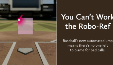 You Can’t Work the Robo-Ref — The New Atlantis