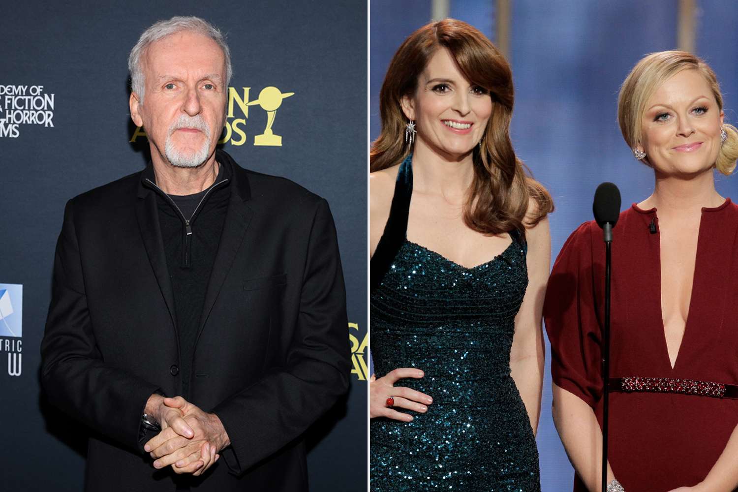 James Cameron blasts Amy Poehler's infamous Golden Globes joke as 'ignorant'