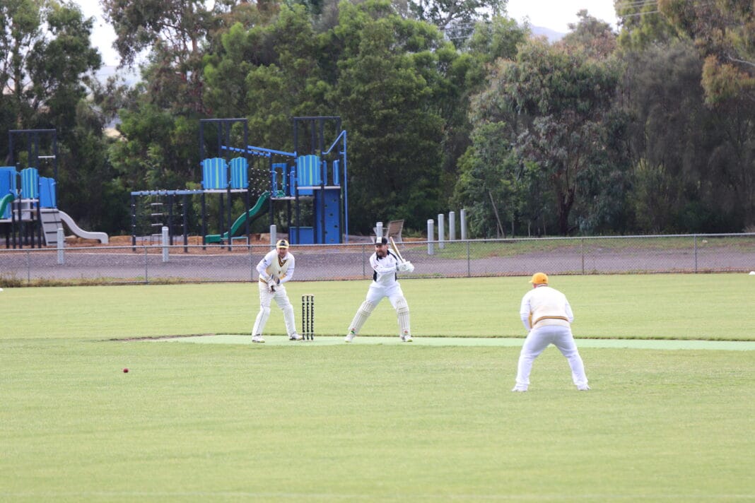 The North Central Review