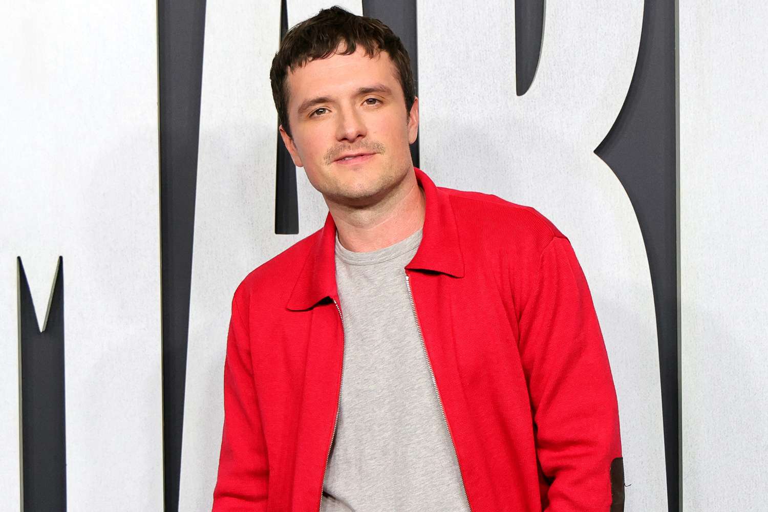 Josh Hutcherson Considered for Role in Another Major Franchise Before 'Hunger Games'