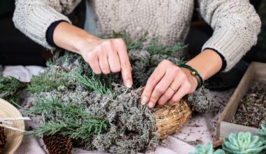 Your Christmas decorations may contain DNA from nearby animals- Earth.com