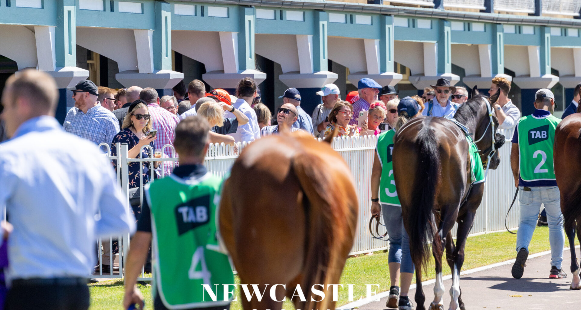 Gary Harley - Herald - Boxing Day Races