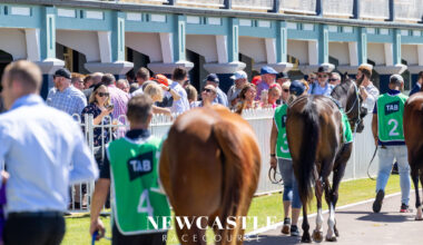 Gary Harley - Herald - Boxing Day Races