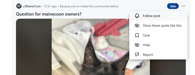 A screenshot of Reddit’s post options under the three-dot menu.
