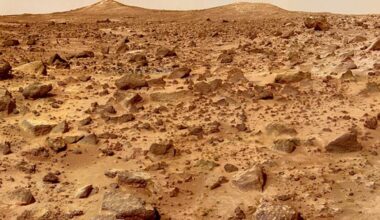 The search for life on the surface of Mars has been ranked as a top priority for the human exploration of the red planet (Credit : NASA)