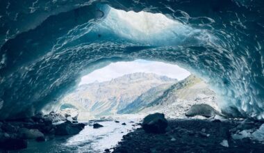 The world will soon be losing 3000 glaciers every year