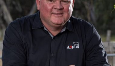 Angus Australia launches new genetic evaluation platform