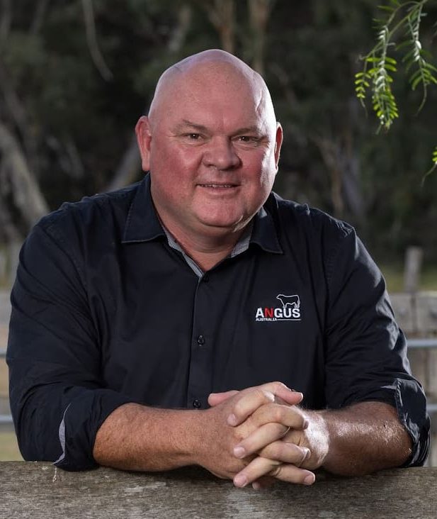 Angus Australia launches new genetic evaluation platform