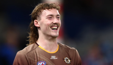 Brownlow Josh Weddle Premiers Fremantle Wooden Spoon Melbourne