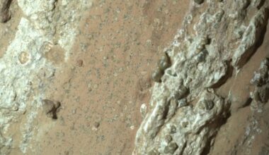A closeup of "leopard spots" on Mars seen by the Perseverance rover.