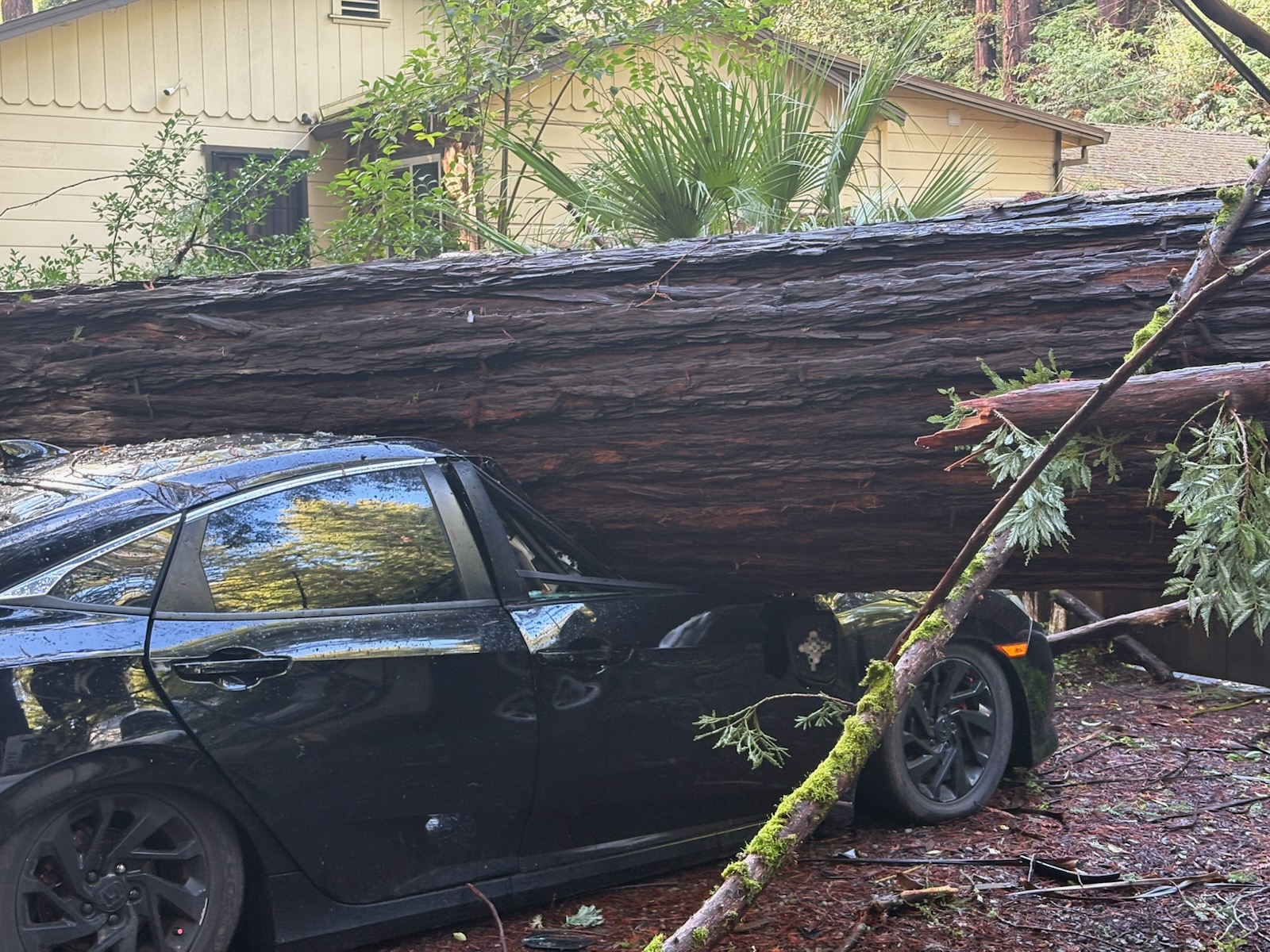One of two cars smashed on a neighborsâ property by...
