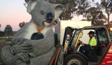 Gumeracha's Big Rocking Horse is getting an adorable new neighbour, as the Giant Koala arrives this summer