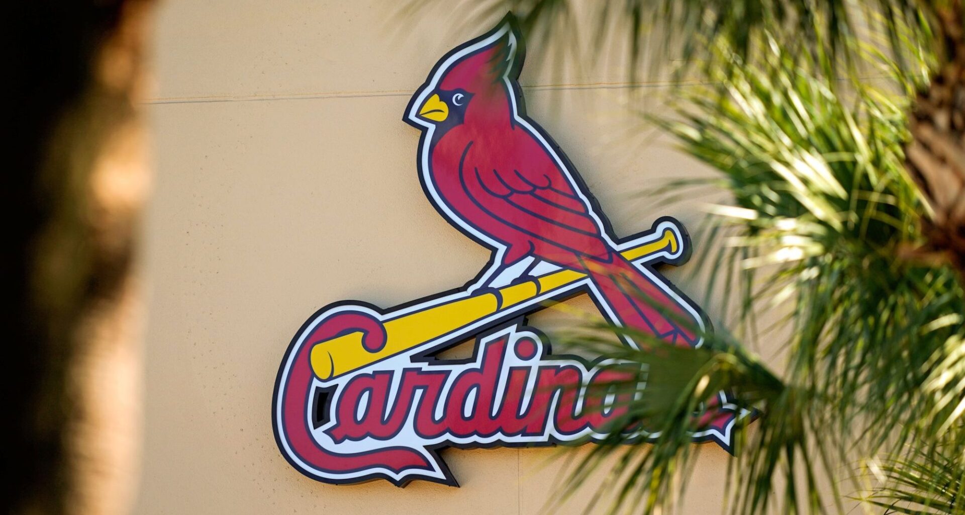 MLB, NBA RSNs at Risk of Collapse