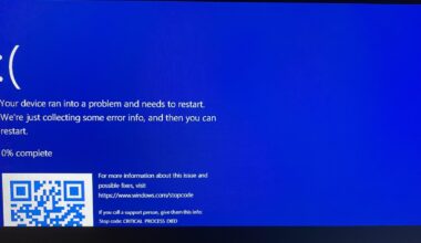 Windows 11 error screen